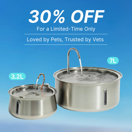 FreshFlow Stainless Steel Pet Fountain