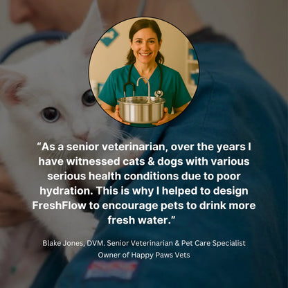 FreshFlow Stainless Steel Pet Fountain