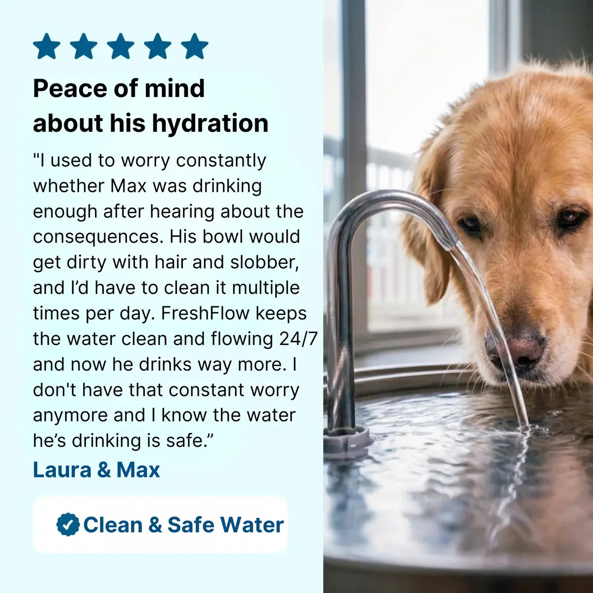 FreshFlow Stainless Steel Pet Fountain