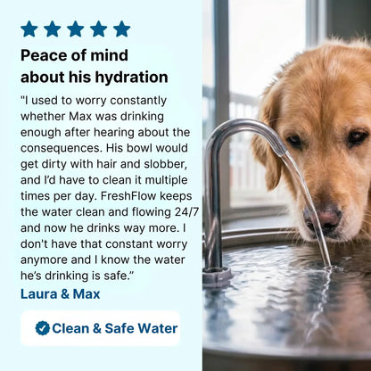 FreshFlow Stainless Steel Pet Fountain